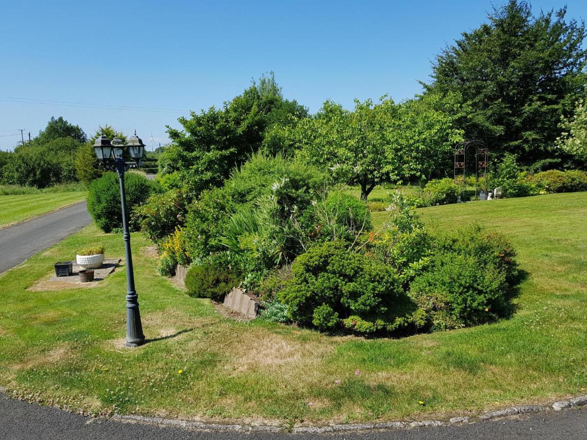 Meadow View B&B Ballymena Exterior foto